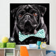 Black Pug with a bow tie Wall Mural