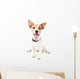 Funny little dog Jack Russell terrier, isolated on white Wall Decal
