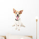 Funny little dog Jack Russell terrier, isolated on white Wall Decal