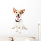 Funny little dog Jack Russell terrier, isolated on white Wall Decal
