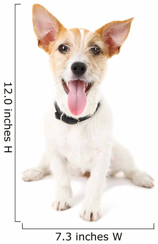 Funny little dog Jack Russell terrier, isolated on white Wall Decal