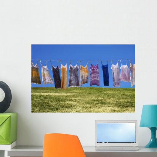 Laundry Wall Mural