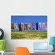 Laundry Wall Mural