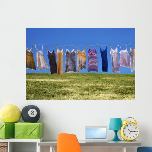 Laundry Wall Mural