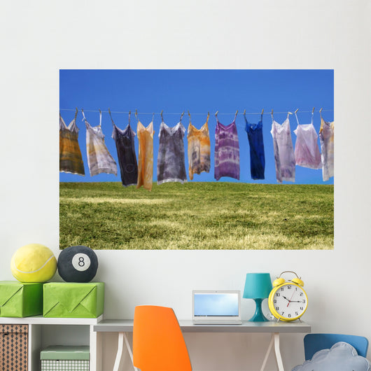 Laundry Wall Mural