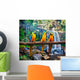 Blue-and-Yellow Macaw Ara ararauna Wall Mural