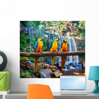 Blue-and-yellow Macaw Ara Ararauna Wall Mural shown on a wall