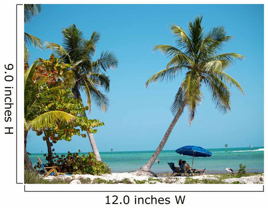 Beach in Key West Wall Mural