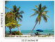 Beach in Key West Wall Mural