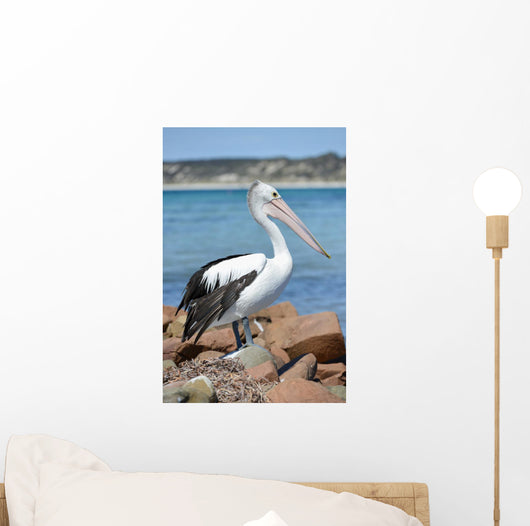 Pélican Wall Mural