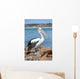 Pélican Wall Mural