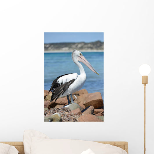 Pélican Wall Mural