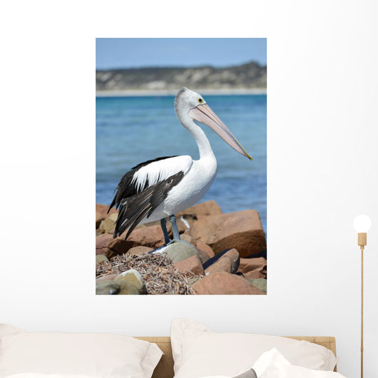 Pélican Wall Mural