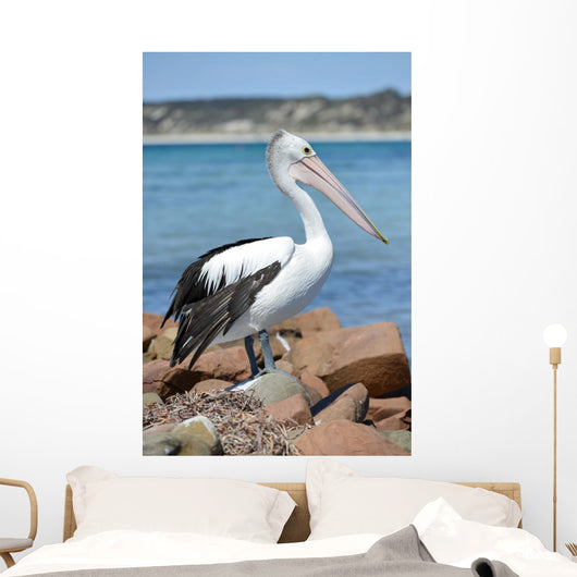 Pélican Wall Mural