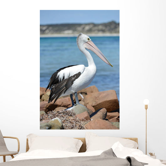Pélican Wall Mural