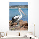 Pélican Wall Mural