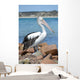 Pélican Wall Mural