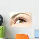 Eye