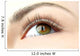 Eye