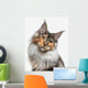 Maine Coon cat Wall Decal