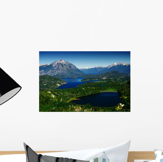 Patagonia Wall Mural