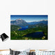 Patagonia Wall Mural