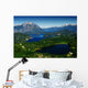Patagonia Wall Mural