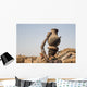 Woman carries on her head a container with water, Ethiopia Wall Mural