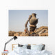 Woman carries on her head a container with water, Ethiopia Wall Mural