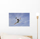 Football - Soccer - Bicycle Kick Wall Mural