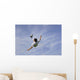 Football - Soccer - Bicycle Kick Wall Mural