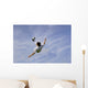 Football - Soccer - Bicycle Kick Wall Mural