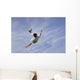 Football - Soccer - Bicycle Kick Wall Mural