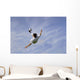 Football - Soccer - Bicycle Kick Wall Mural