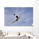 Football - Soccer - Bicycle Kick Wall Mural