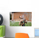 boy with splash water in hot summer day outdoors Wall Mural