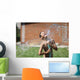 boy with splash water in hot summer day outdoors Wall Mural