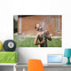 boy with splash water in hot summer day outdoors Wall Mural