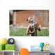 boy with splash water in hot summer day outdoors Wall Mural
