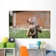 boy with splash water in hot summer day outdoors Wall Mural