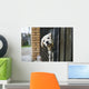 Baby pappy white labrador in cage Wall Mural
