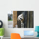 Baby pappy white labrador in cage Wall Mural