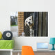 Baby pappy white labrador in cage Wall Mural