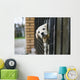 Baby pappy white labrador in cage Wall Mural