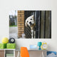 Baby pappy white labrador in cage Wall Mural