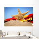 big starfish in the sand Wall Mural