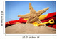 big starfish in the sand Wall Mural