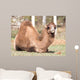 camel portrait in nature Wall Mural