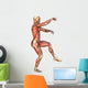 Muscle Maps Anatomy Wall Decal