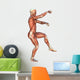 Muscle Maps Anatomy Wall Decal